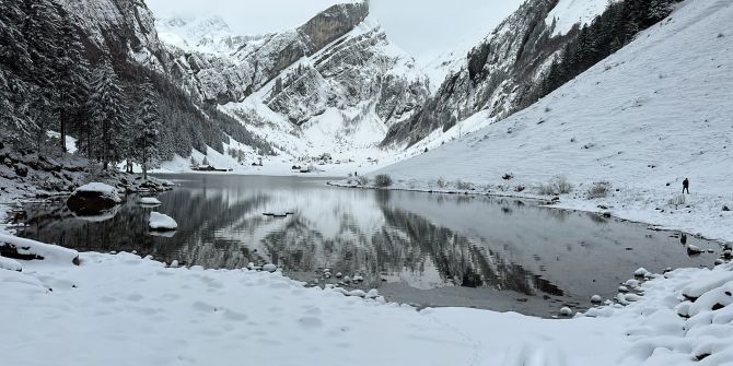 seealpsee