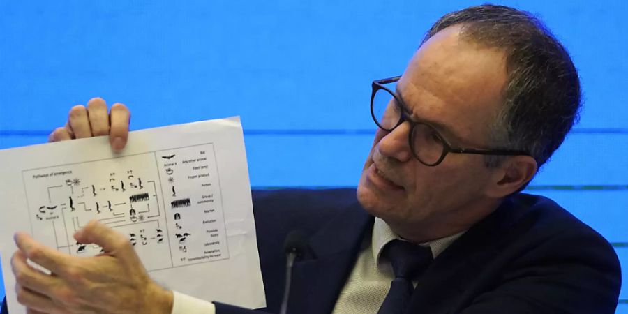 ARCHIV - Peter Ben Embarek, Chef des Teams der Weltgesundheitsorganisation (WHO), das im Januar nach China reiste, hält auf einer Pressekonferenz eine Grafik hoch, die die Übertragungswege des Coronavirus zeigt. Foto: Ng Han Guan/AP/dpa