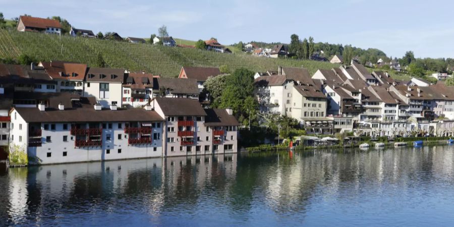 Blick auf die Altstad in Eglisau und die Rebberge.