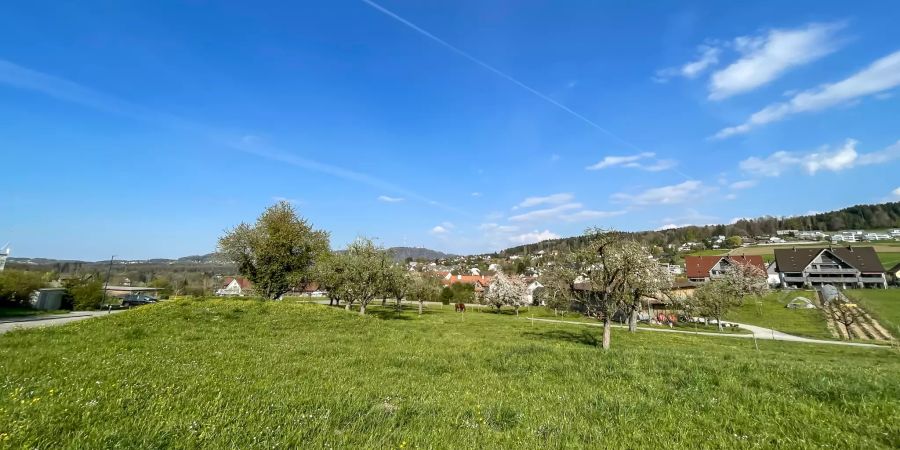 Landschaft in Aesch (ZH).