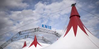 «Traurig» - Circus Knie warnt vor Aus für Gastspiele in St. Gallen