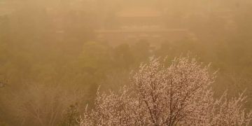 Sandsturm China Peking