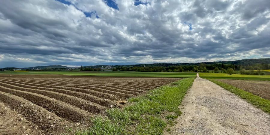 Ackerfelder bei Regensdorf ZH.