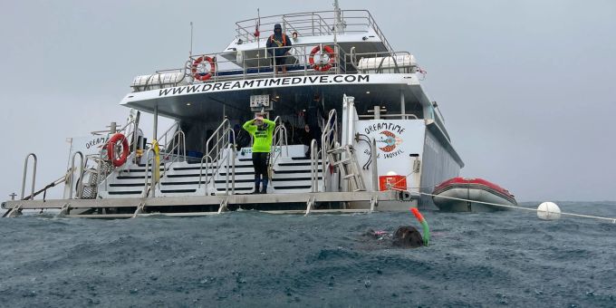 Das Wetter kann man sich nicht aussuchen. Doch auch bei Seegang und Regen vor der Küste von Cairns, kann man noch gut Schnorcheln gehen. Seegang