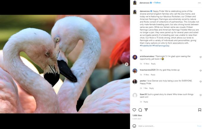 Freddie und Lance sind nicht mehr länger ein Paar. Flamingos