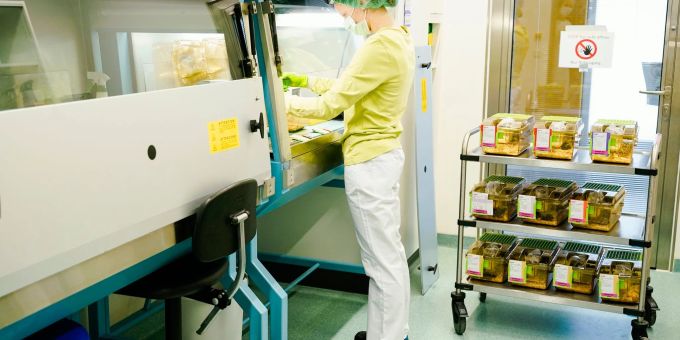 Eine Mitarbeiterin steht im Zentralen Tierlabor des Deutschen Krebsforschungszentrums in Heidelberg. Eine Mitarbeiterin steht im Zentralen Tierlabor des Deutschen Krebsforschungszentrums in Heidelberg.