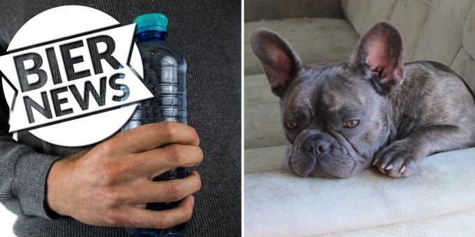 Nur Mineral-Flaschen - Hund weigert sich, Leitungswasser zu trinken