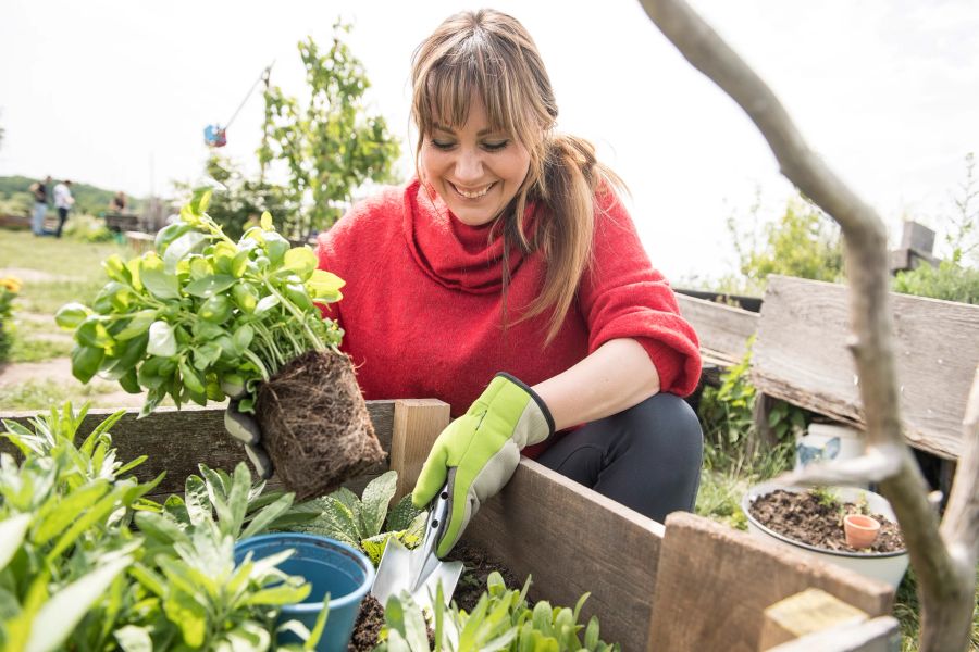 Frau Garten Beet Gartenarbeit