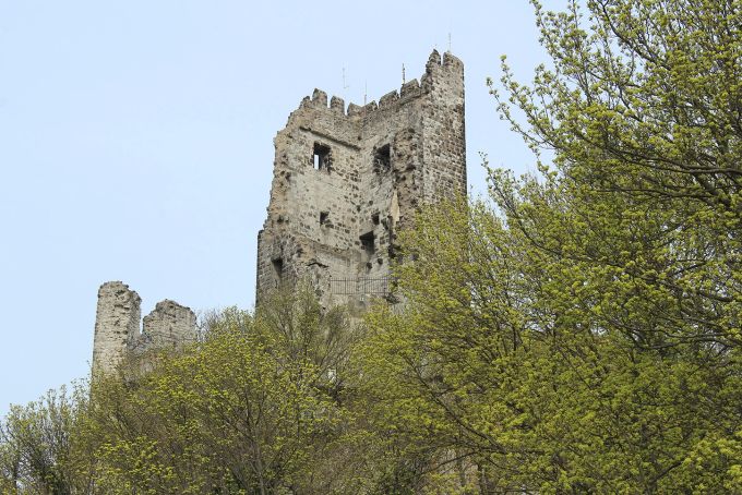 Erhebt sich wie ein hohler Zahn über dem Gipfel: die Ruine der Burg Drachenfels. Baumkronen Burg Ruine Drachenfels