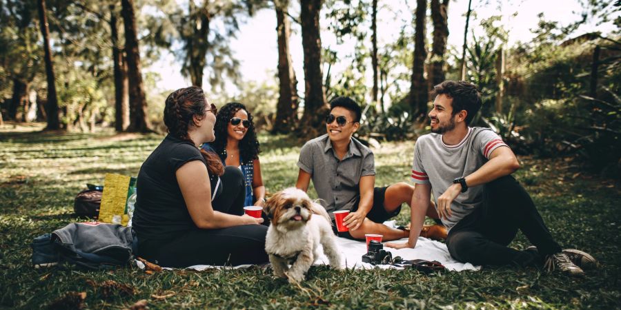 Hund Freunde Picknick Wiese