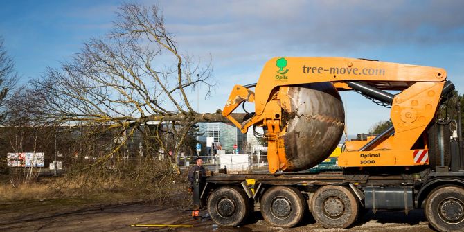 Maschine Baum Arbeiter Umzug