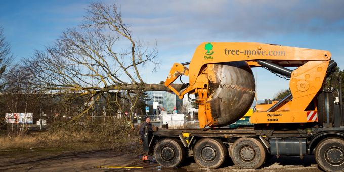 Ohne schwere Maschinen geht der Umzug nicht – zumindest nicht, wenn der Baum schon etwas älter ist. Maschine Baum Arbeiter Umzug