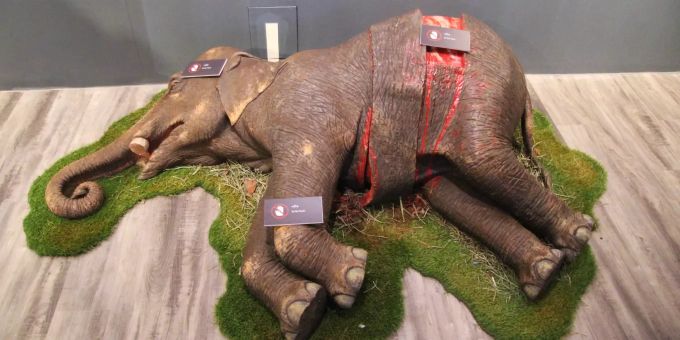 Myanmar - Elefantenmuseum soll auf bedrohte Tiere aufmerksam machen