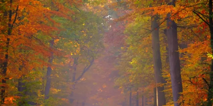 Mitte Woche Beginnt Ein Traumhafter Herbst