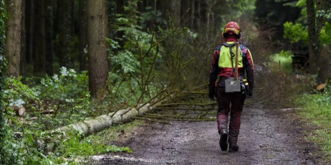 Der Schaffhauser Wald gibt den Behörden einiges zu tun. waldsterben