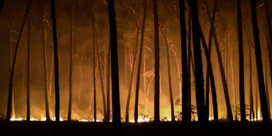 Waldbrand in der Nähe von Jüterbog in Brandenburg
