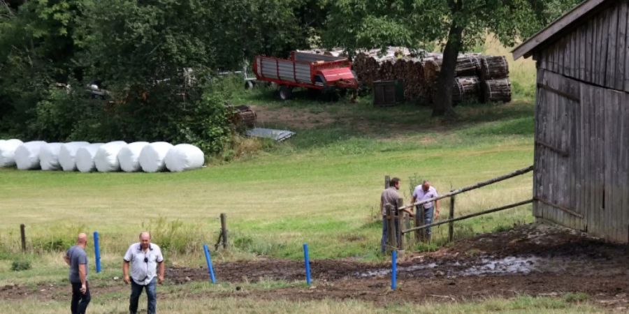 Wildgewordener Stier tötet zwei Männer in Bayern