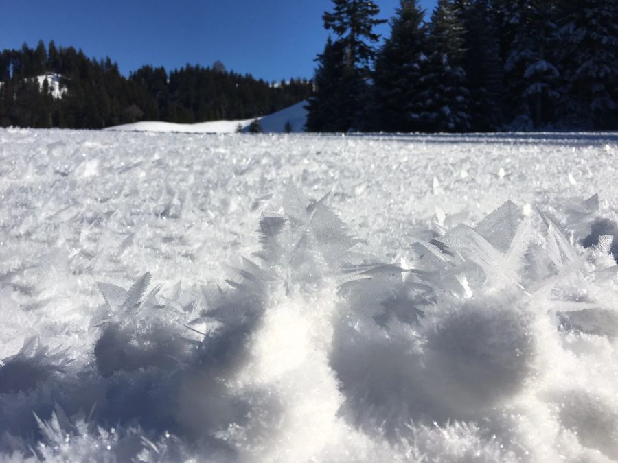 ausflÜge schweiz