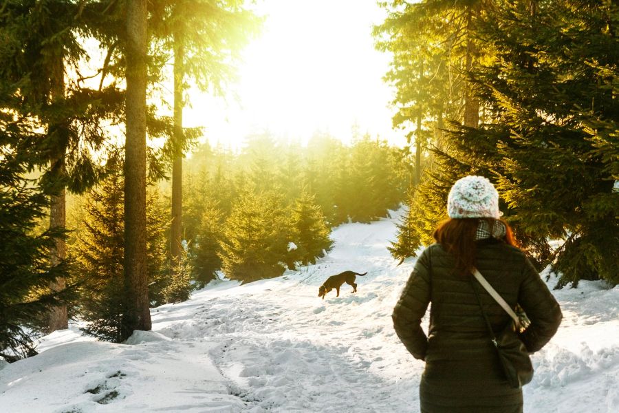 Mit Hund im Schnee