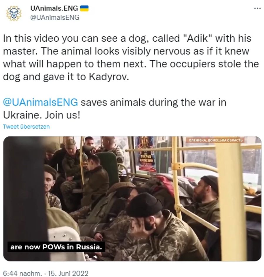 Ukrainische Soldaten, inklusive Pitbull Adik, wurden von Russen gefangen genommen.