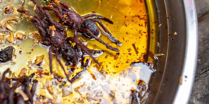 Im Zuge des Klimawandels ist das Essen von Insekten und Spinnen Experten zufolge eine gute Alternative zu den hohen CO2-Emissionen der Fleischproduktion. Im Zuge des Klimawandels ist das Essen von Insekten und Spinnen Experten zufolge eine gute Alternative zu den hohen CO2-Emissionen der Fleischproduktion.