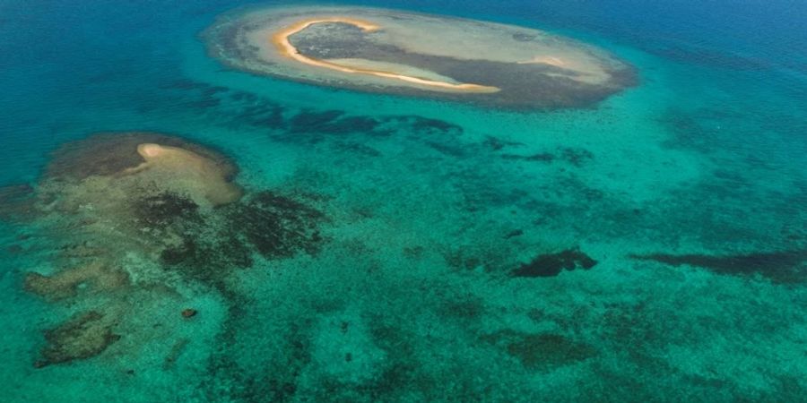 Der Klimawandel sorgt für eine folgenschwere Erwärmung der Meere. (Archivbild)