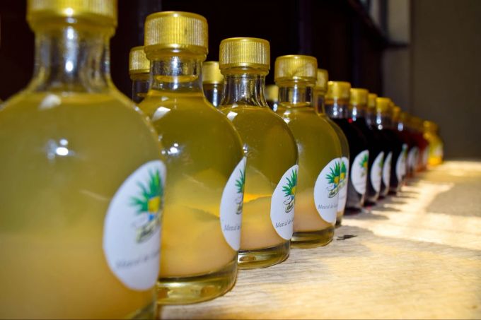 Für Thomas Kraft ist der Mezcal das Trendgetränk des Jahres. Mezcal Tequila Flaschen