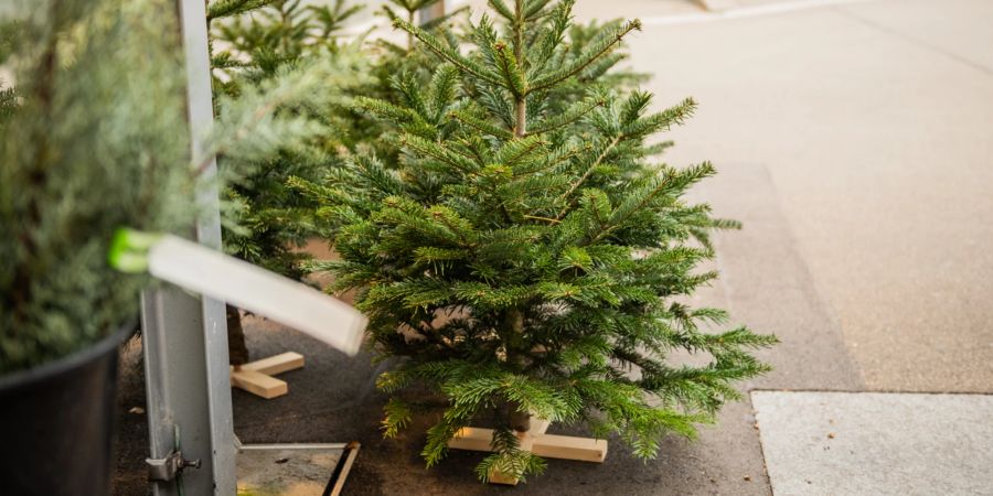 Christbaumverkauf in der Vorweihnachtszeit. (Symbolbild)