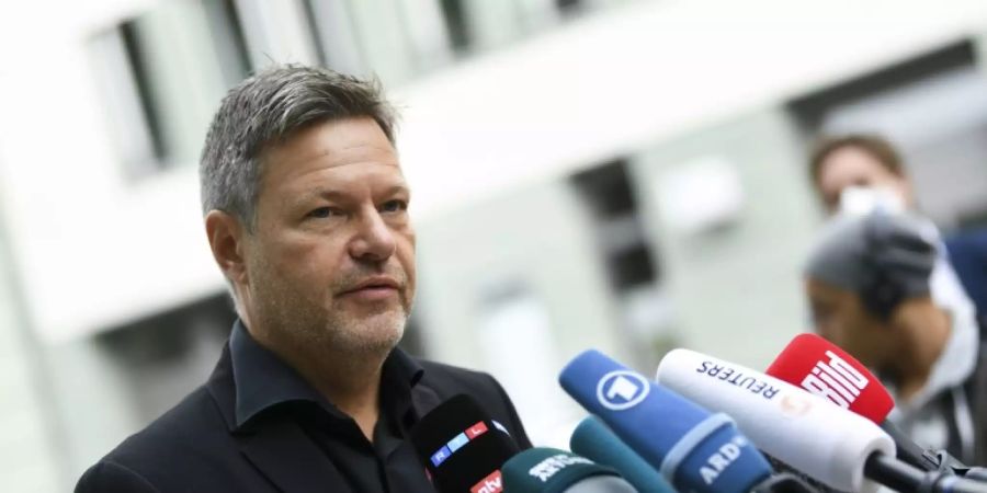 Grünen-Ko-Chef Habeck