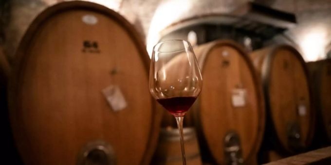 Rotwein im Glas vor Fässern Rotwein im Glas vor Fässern