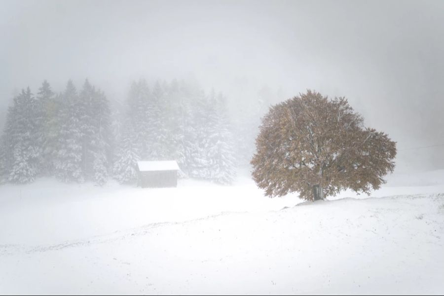 Es schneit wieder am Wochenende – gerade am Samstag wird es aber teils noch nebelig.