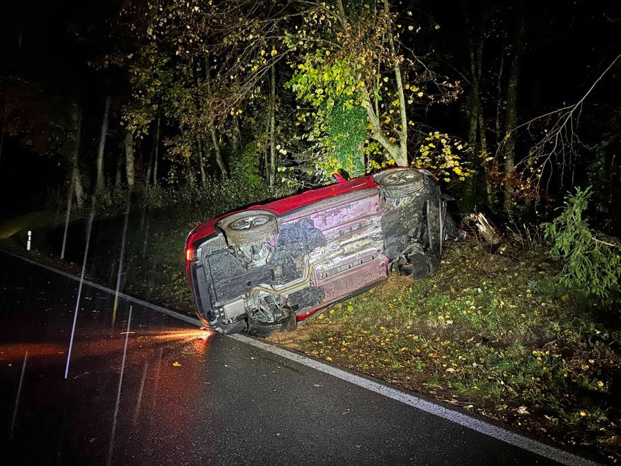 Die Lenkerin wurde beim Unfall verletzt.