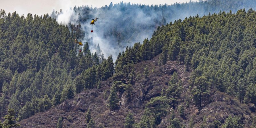 Erst im August hatte es einen verheerenden Waldbrand auf der spanischen Urlaubsinsel gegeben. Wie auf dem Bild zu sehen, waren auch Löschhubschrauber im Einsatz. (Archivbild)