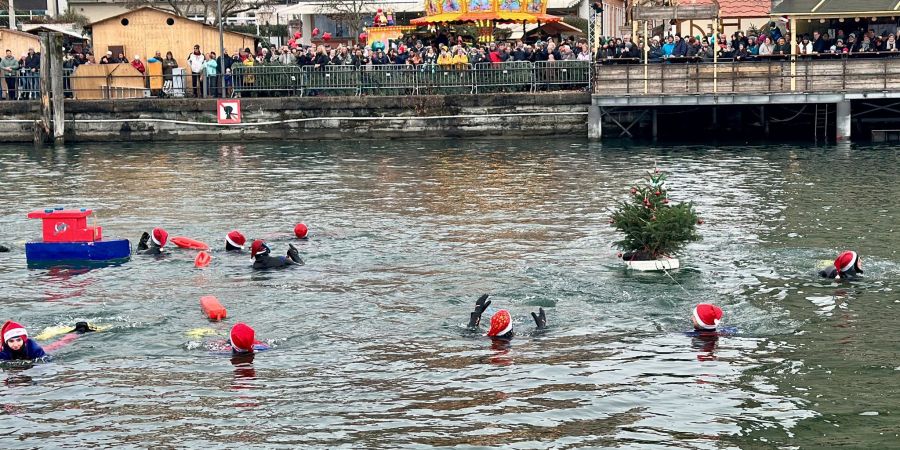 Nikolausschwimmen: Schaulustige schauen den Schwimmern im Bodensee zu.