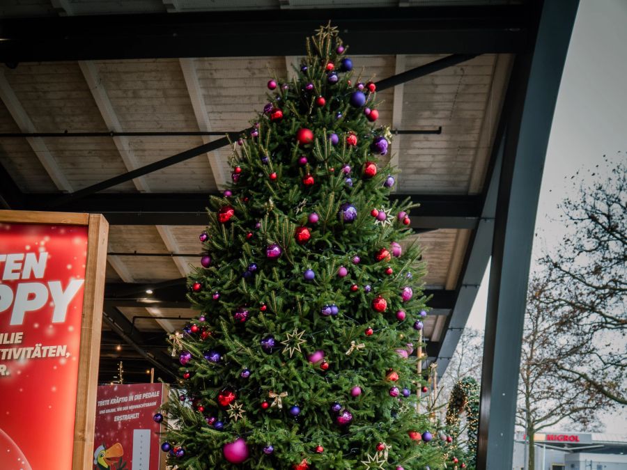 Der Weihnachtsbaum ist festlich geschmückt.