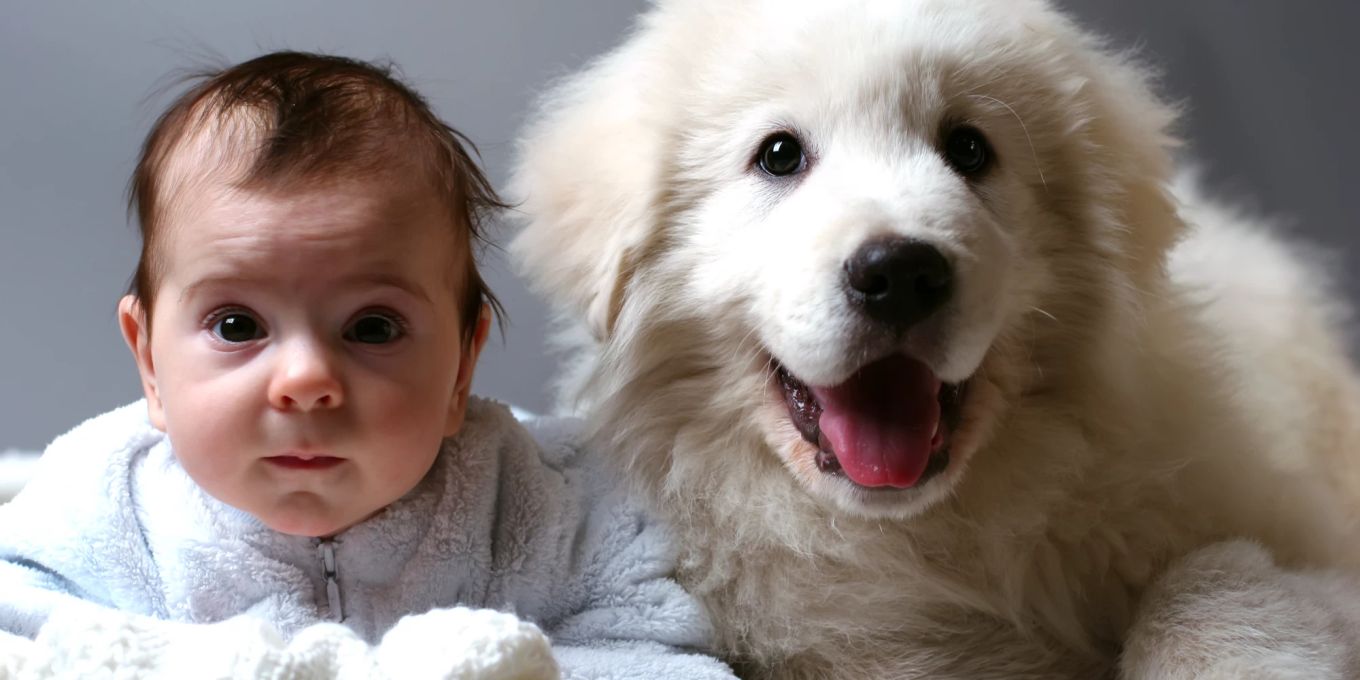 baby-und-hund-wie-das-zusammenleben-gelingt-nau-ch
