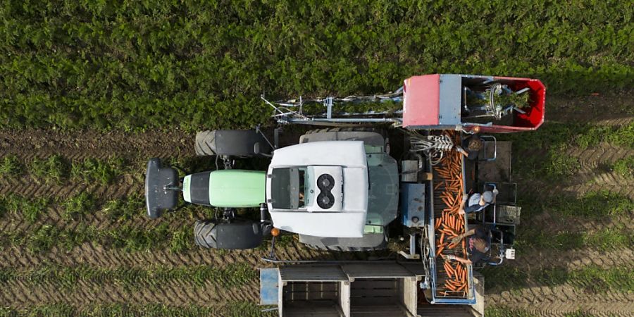 Die Landwirtschaft ist einer der grössten Brocken in der Budgetberatung. (Themenbild)