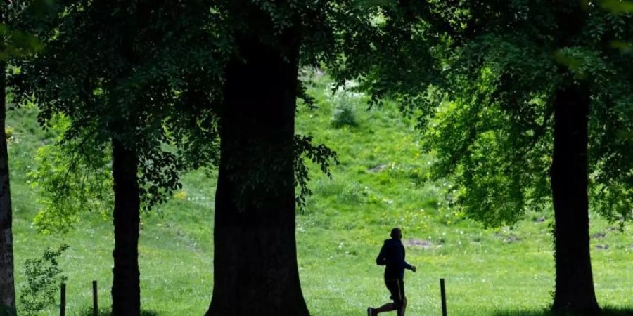 Ein Jogger ist im Englischen Garten in München unterwegs. Bewegung liegt in der Natur des Menschen - von Anfang an. Foto: Sven Hoppe/dpa