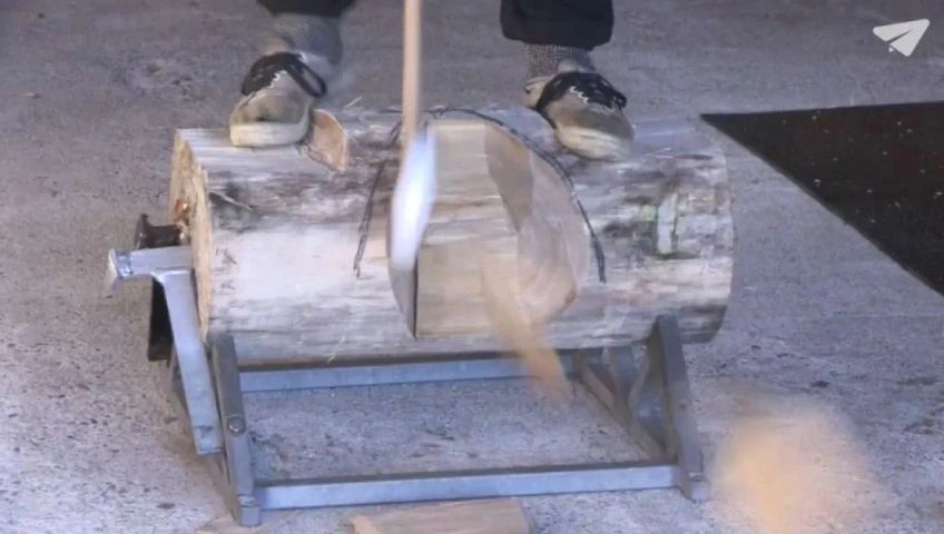 zh-holzfaller-neu-gm