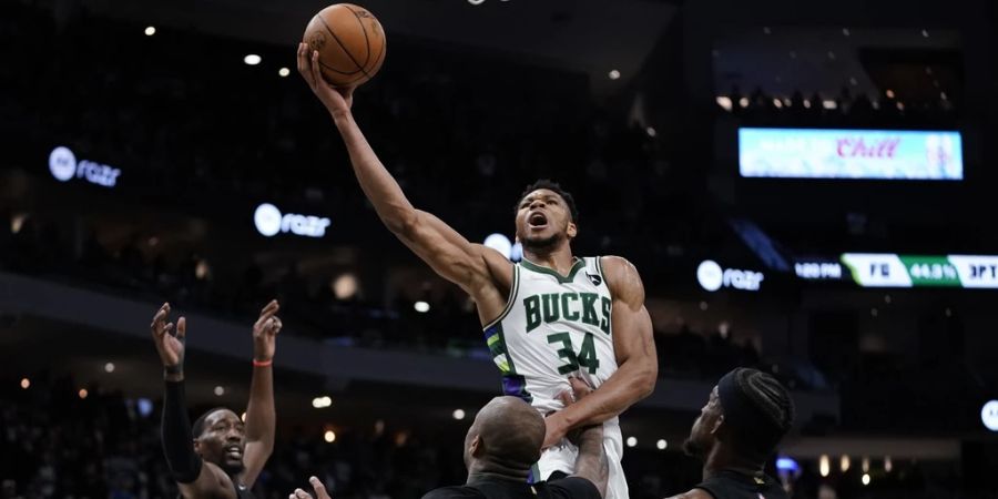 milwaukee bucks