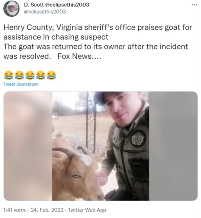 Ein US-Hilfssheriff erhielt bei einer Verfolgungsjagd tatkräftige Unterstützung von einer Ziege. Ziege