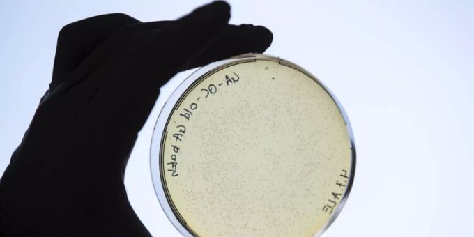 US-Forscher haben untersucht, wie gut Impfungen vor der neuen Covid-19-Variante Omikron schützen. Es zeigte sich, dass ausschliesslich mit mRNA-Impfstoffen Geboosterte nahezu gleich gut gegen Omikron geschützt sind wie gegen das ursprüngliche Virus (Symbolbild). Coronavirus