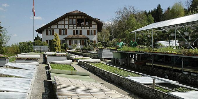Die Gärtnerei Bühler in Rothrist. Zofingen