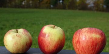 obstsorte