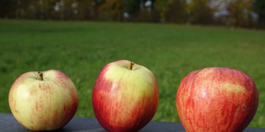obstsorte