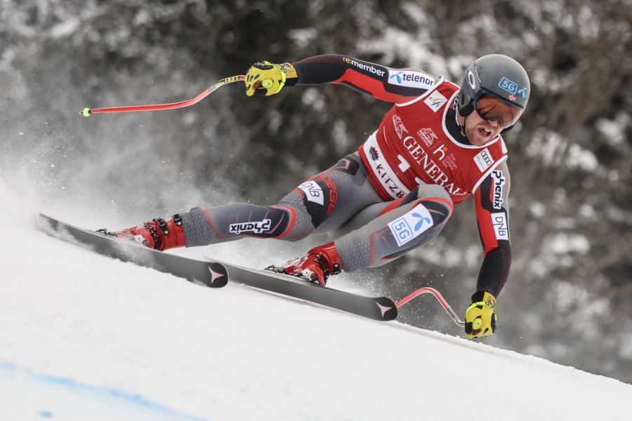 Austria Alpine Skiing World Cup