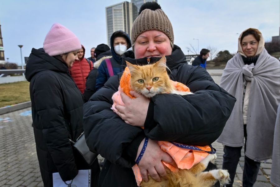 Eine geflüchtete Ukrainerin wartet mit ihrer Katze vor einem Aufnahmezentrum für Flüchtlinge in Prag.