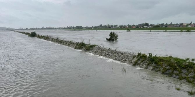 Überschwemmung am Rhein Widnau