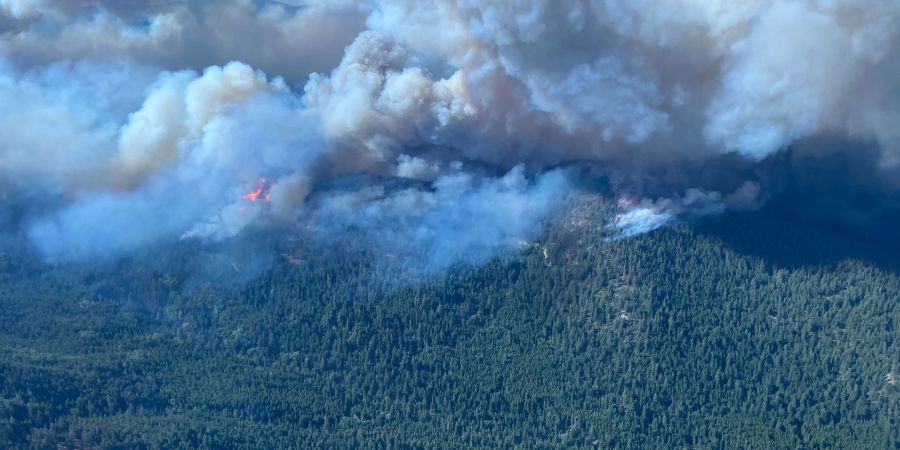 Das McDougall Creek Feuer brennt in West Kelowna, British Columbia.