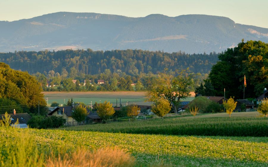 Die Reise-Journalistin freute sich auch über die netten Menschen in Roggwil.